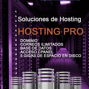 hosting pro 1