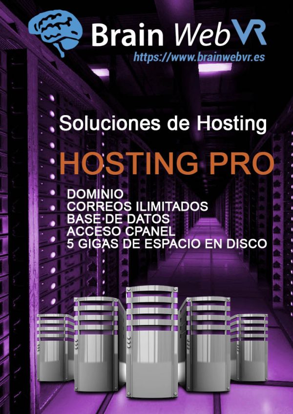hosting pro 1